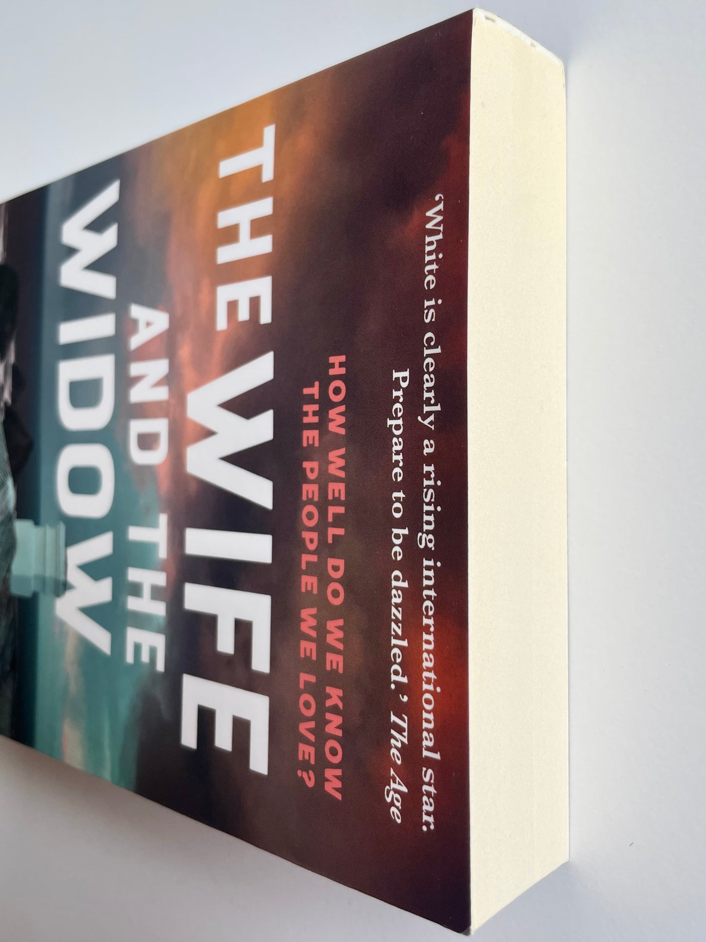 The Wife and the Widow by Christian White